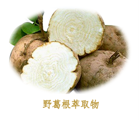 野葛根萃取物