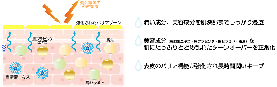 PTトリプル浸透