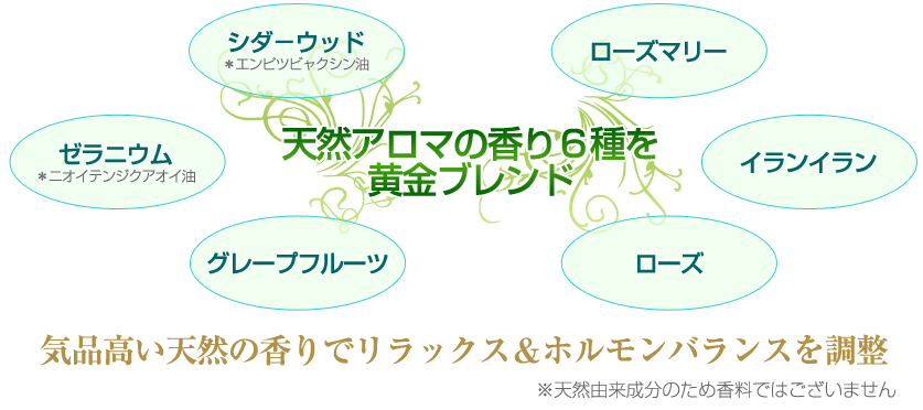 PTトリプル浸透