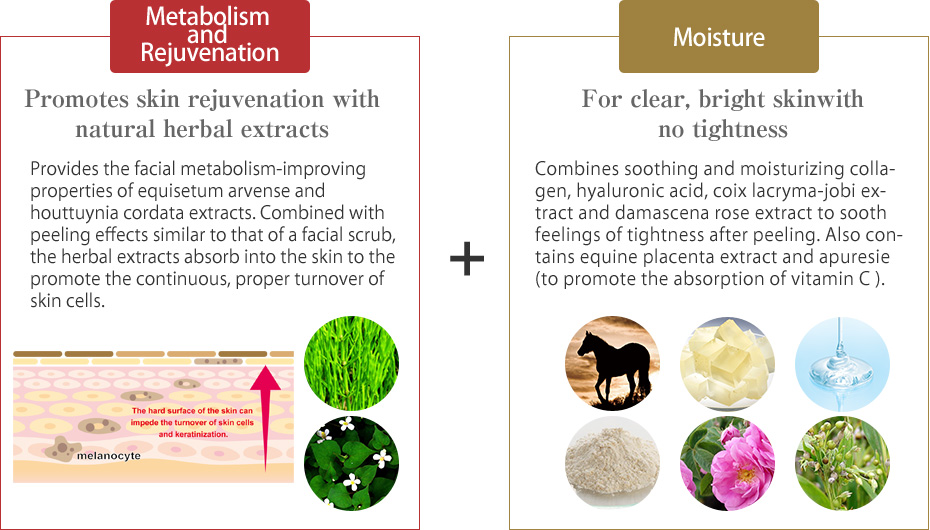 PLA-Toujours Herb Peeling Cleanser