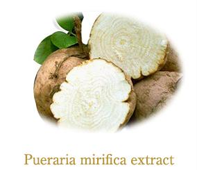 Pueraria mirifica 