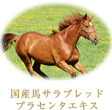 国産馬サラブレッドプラセンタエキス