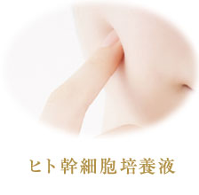 ヒト幹細胞培養液