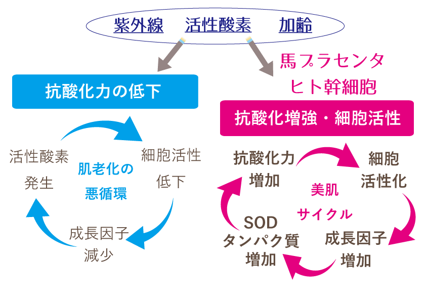 Tha Mask リバイバルホワイトの特徴