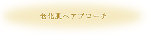 老化肌へアプローチ